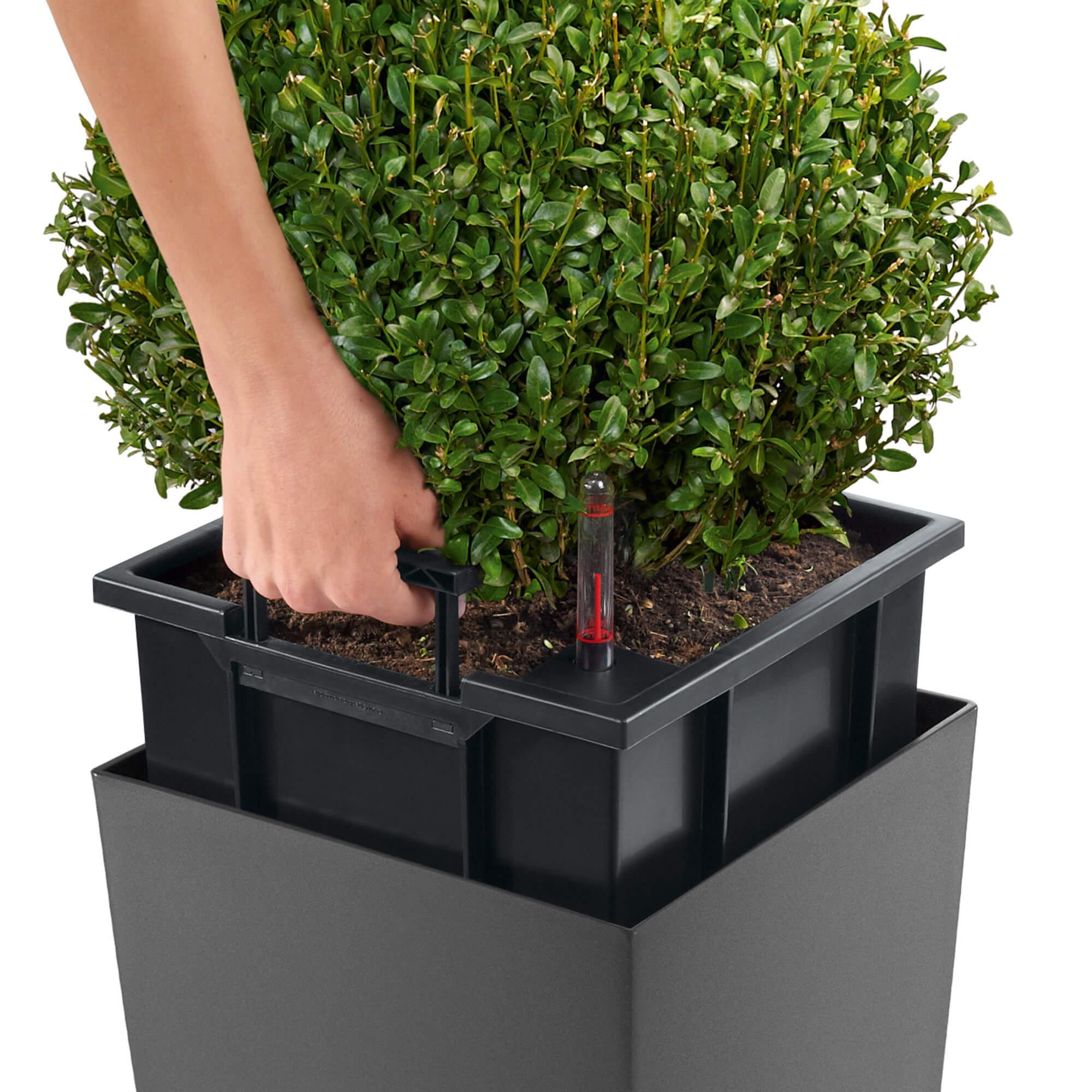 CUBICO Premium 30 charcoal metallic